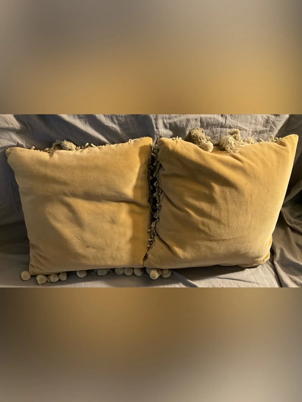 Embroidered Floral Accent Pillow Pair in Cream with Tassels